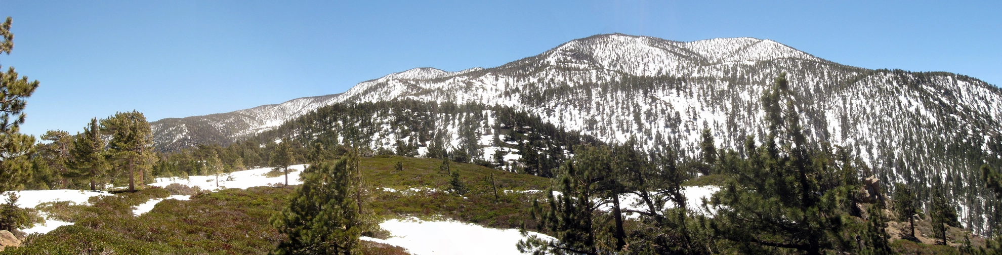 An image depicting the trail San Bernardino Peak Trail and Forsee Creek Trail and its surrounding area.