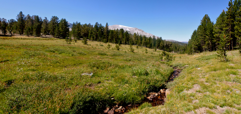An image depicting the trail Little Lakes Valley to Morgan Pass Trail and its surrounding area.