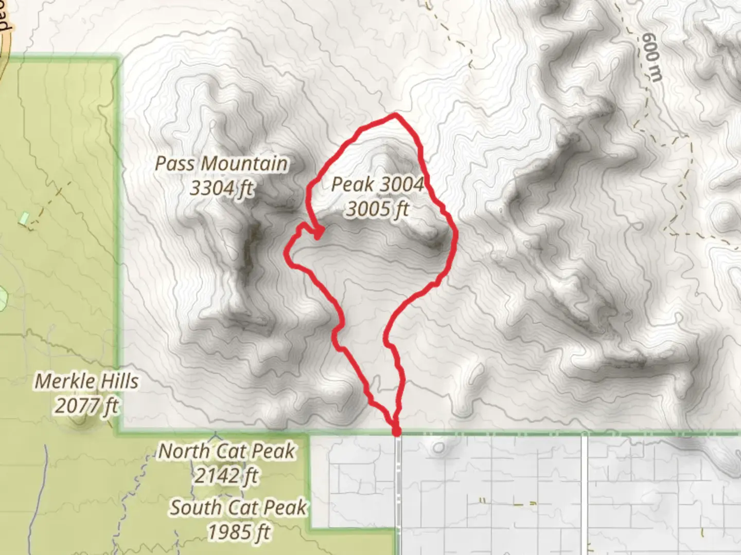 An image depicting the trail Bulldog Saddle and Pass Mountain Loop Trail and its surrounding area.