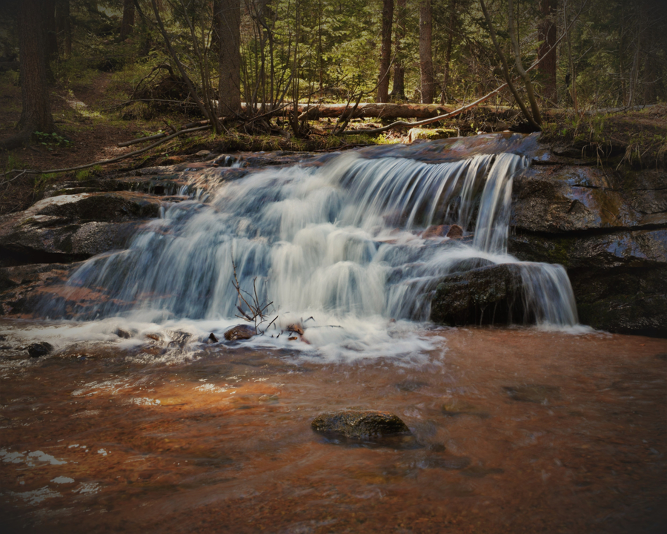 An image depicting the trail Maxwell Falls Loop Trail and its surrounding area.