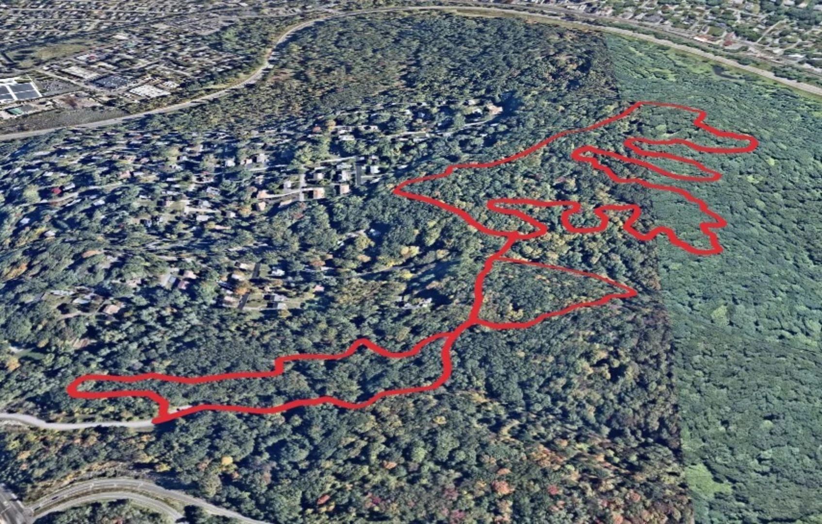 An image depicting the trail Blue and White Trail - Main Loop and its surrounding area.