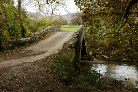 An image depicting the trail Dalegarth Loop via Eel Tarn and its surrounding area.