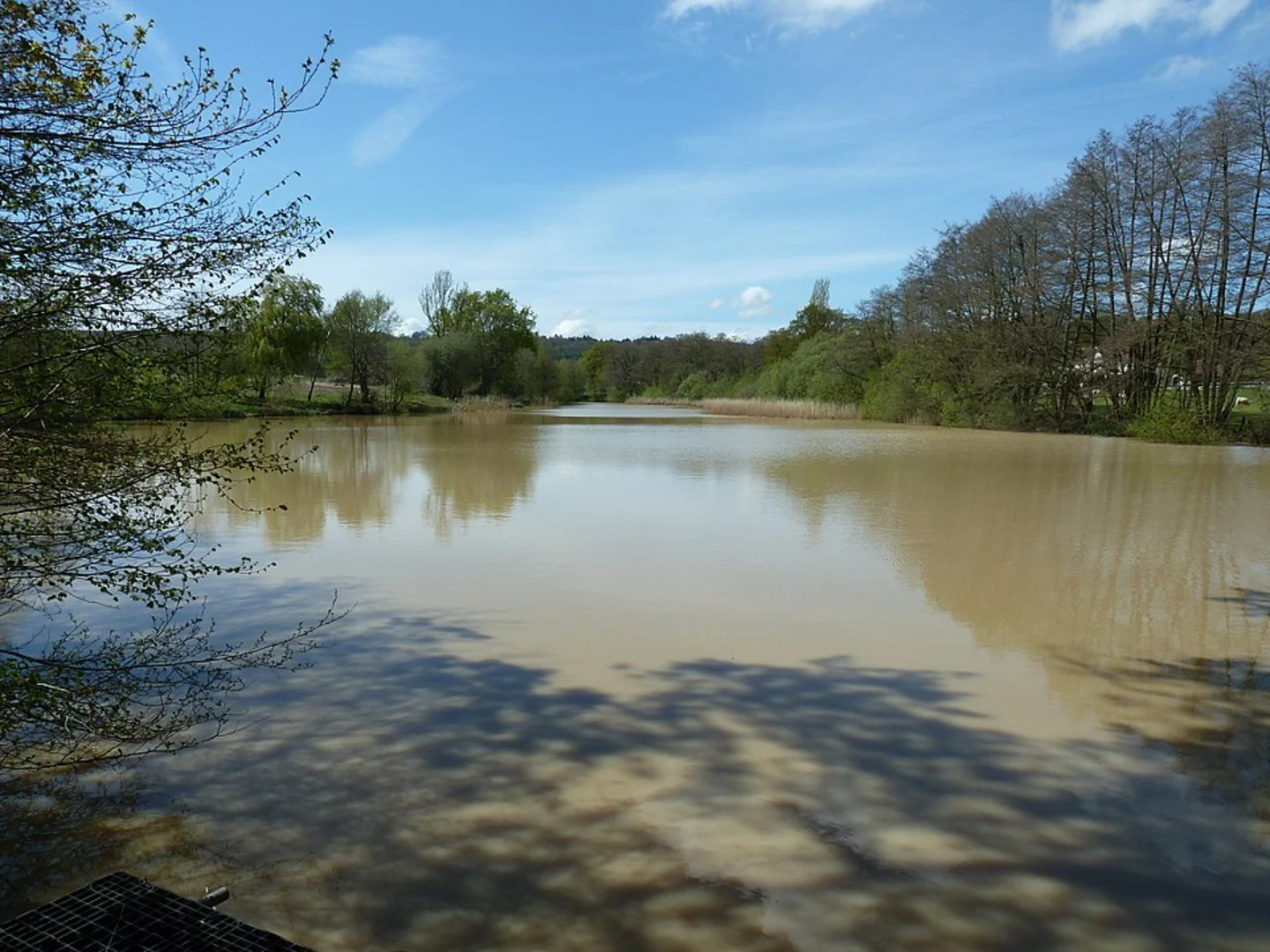 An image depicting the trail Hill Brow to Milland Loop and its surrounding area.