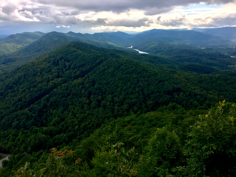 Cumberland Trail - La Follette To Flat Fork Rd