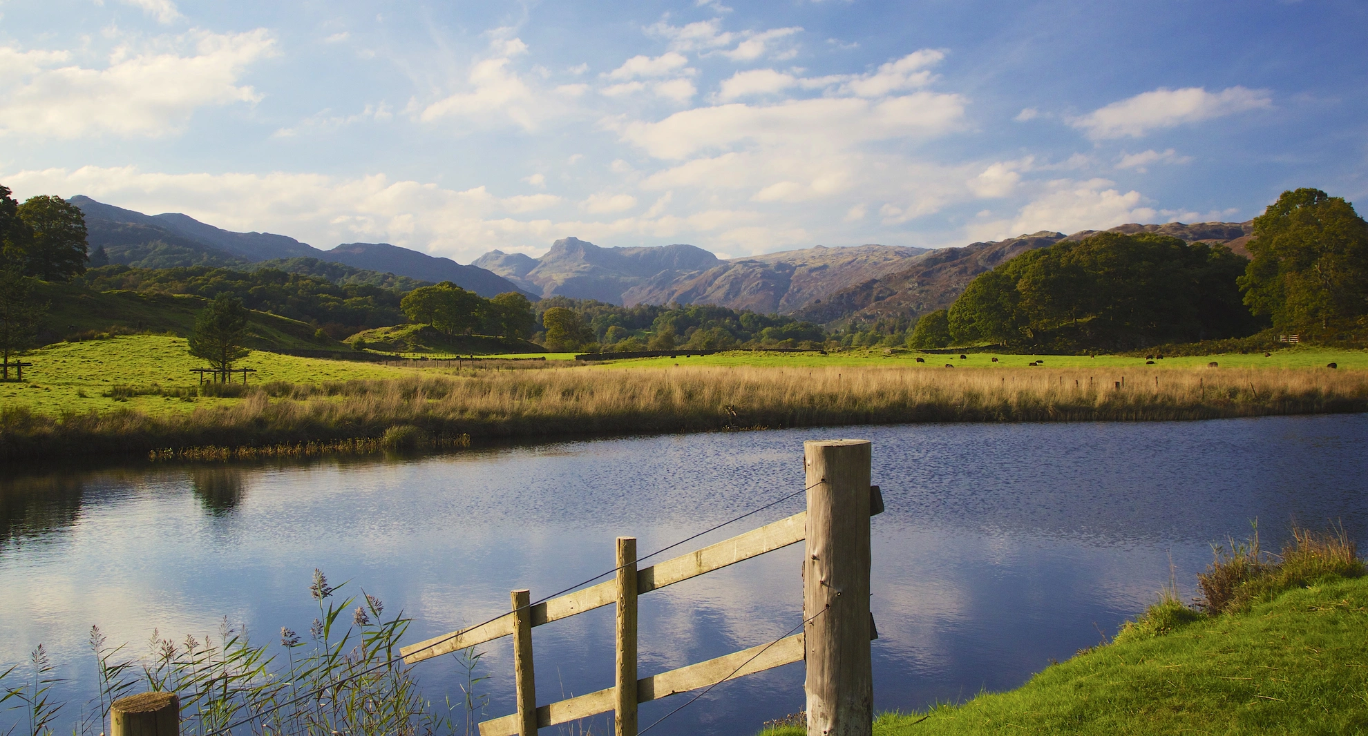 An image depicting the trail Loughrigg Tarn, Brathay and Silverthwaite Loop and its surrounding area.