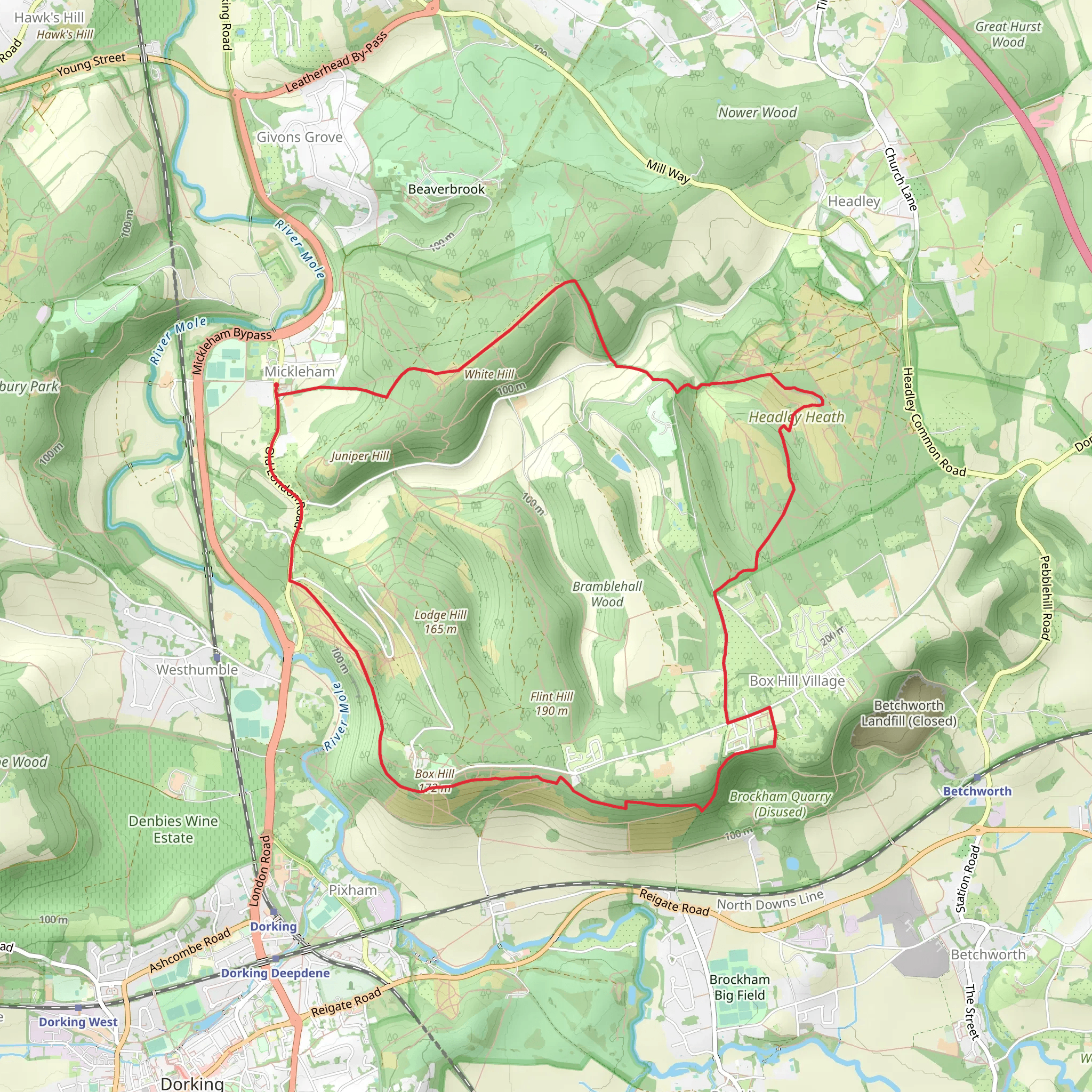 Mickleham, Box Hill and Headley Heath Loop mobile static map
