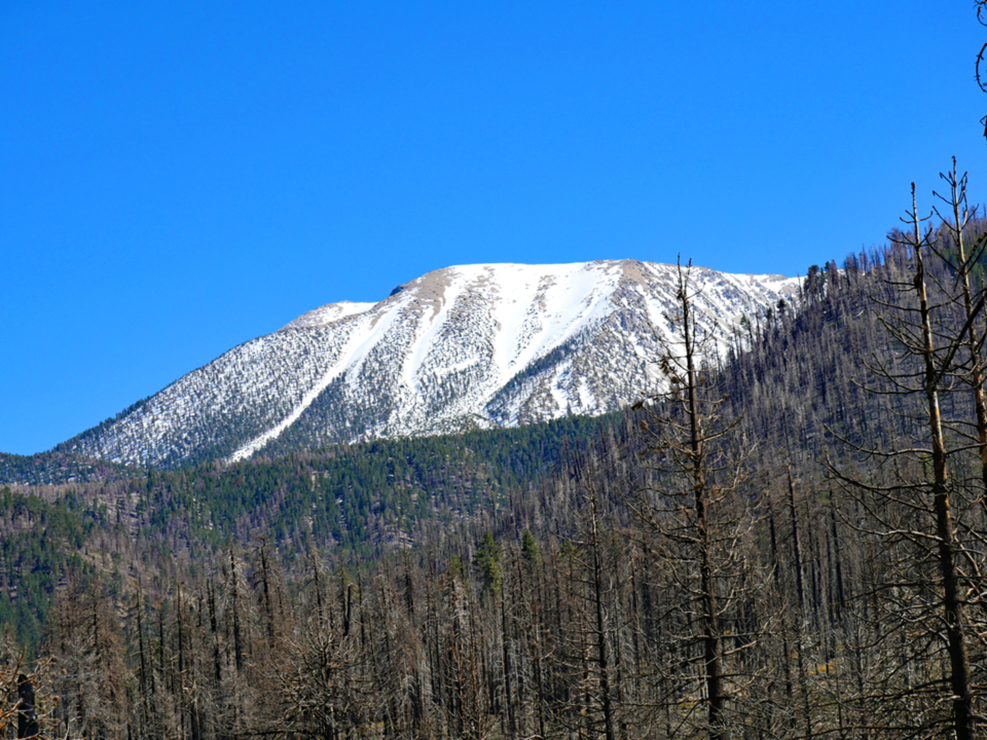 An image depicting the trail Poopout Hill Trail and its surrounding area.