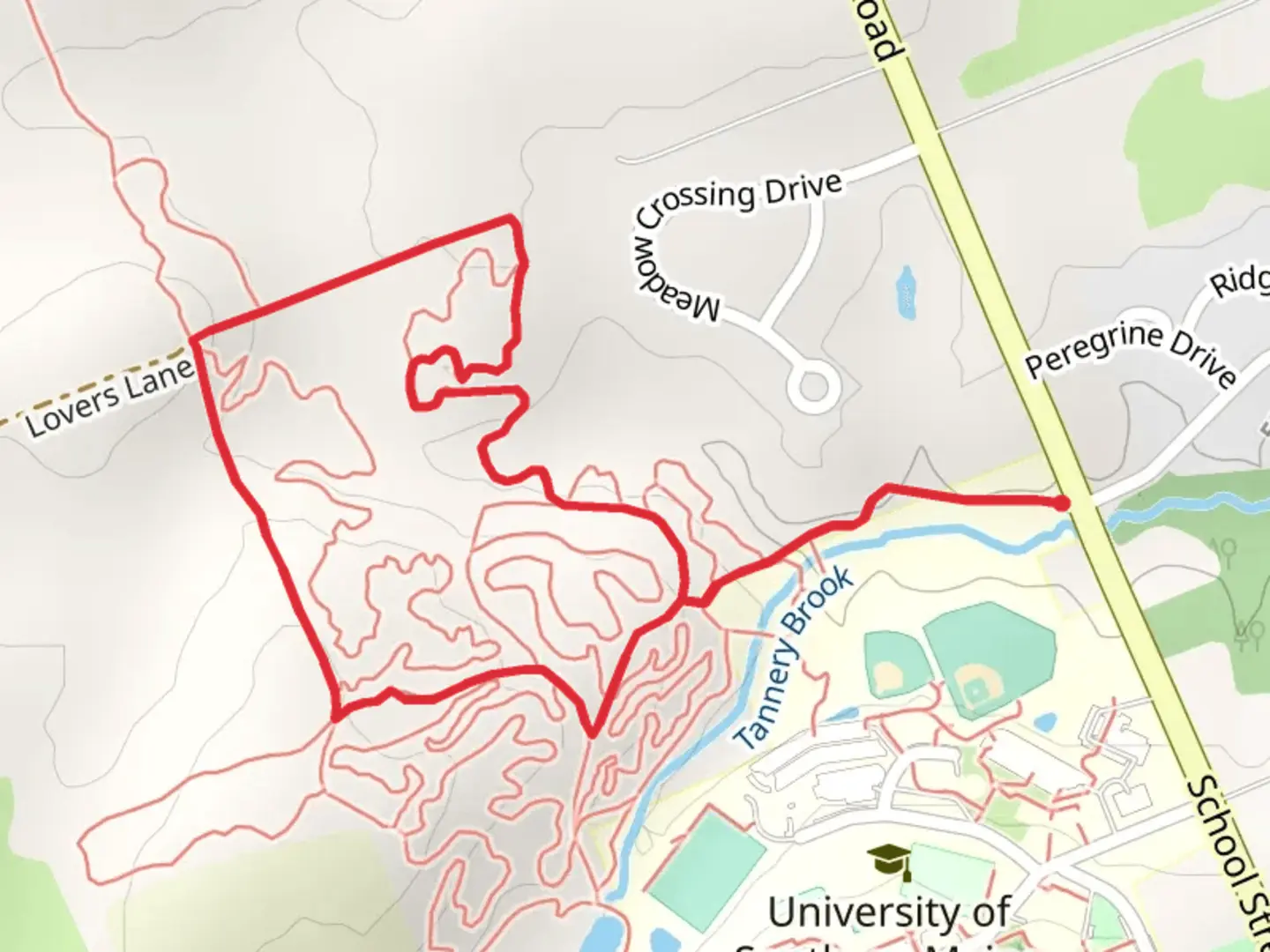 An image depicting the trail Tannery Brook Loop and its surrounding area.