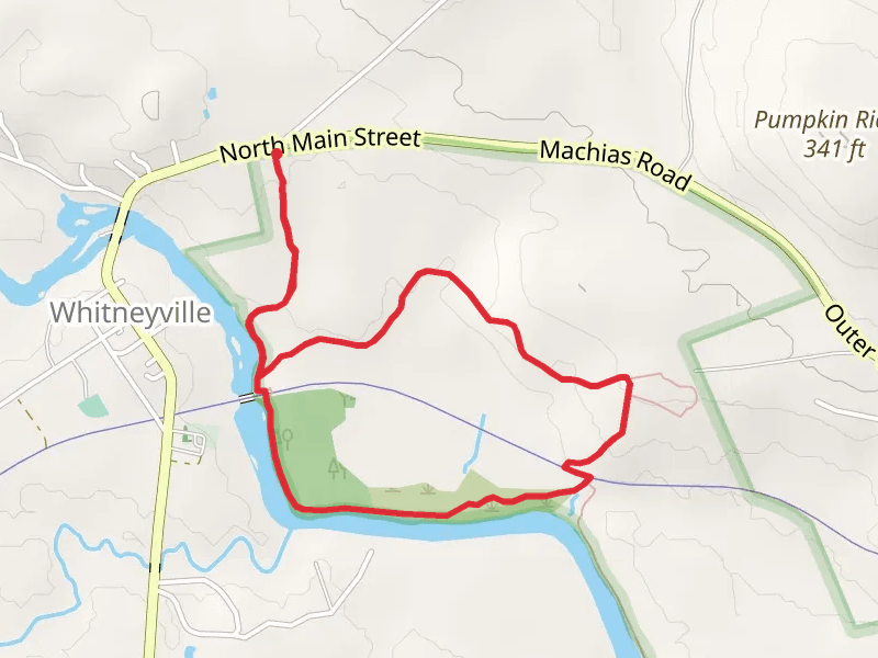 Machias River Loop via Money Island Trail