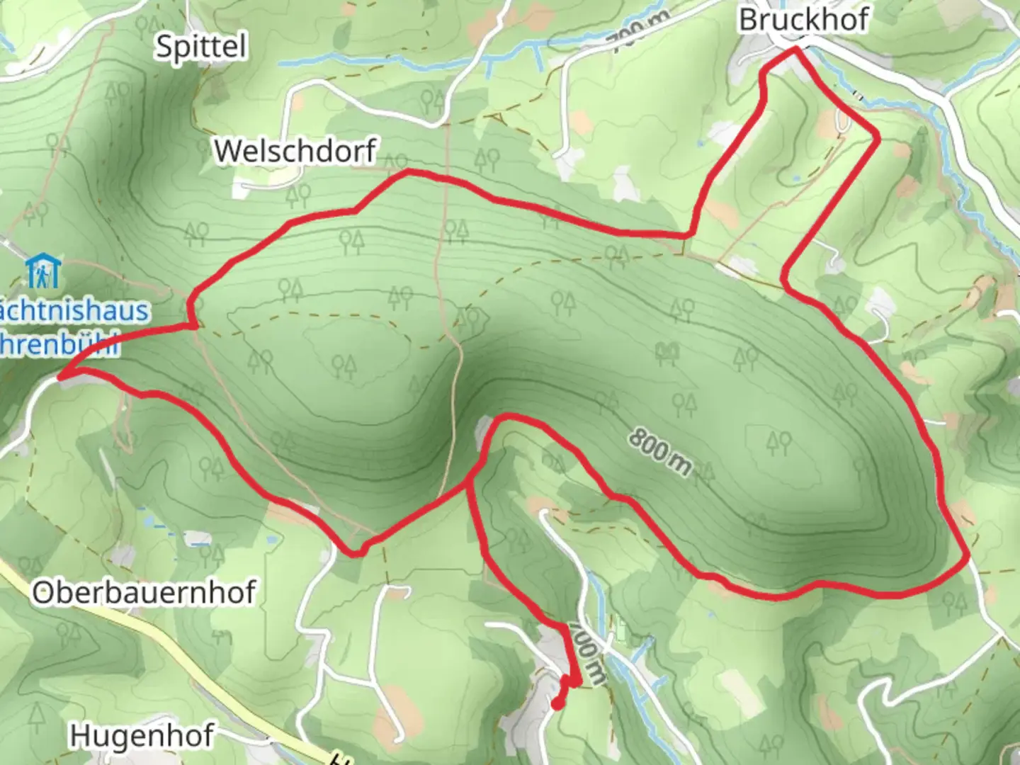 An image depicting the trail Hohenreutewald Loop - Bruckhof and its surrounding area.