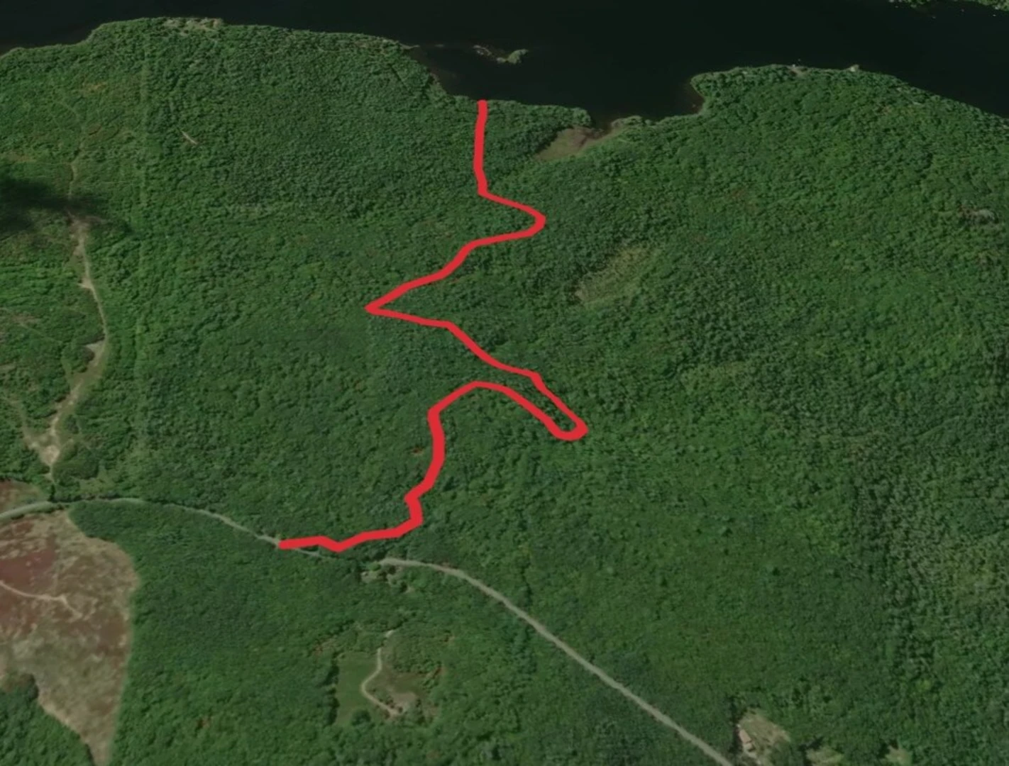 An image depicting the trail Pitcher Pond from Beech Hill Road and its surrounding area.