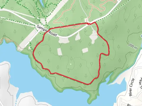 Shady Loop Trail