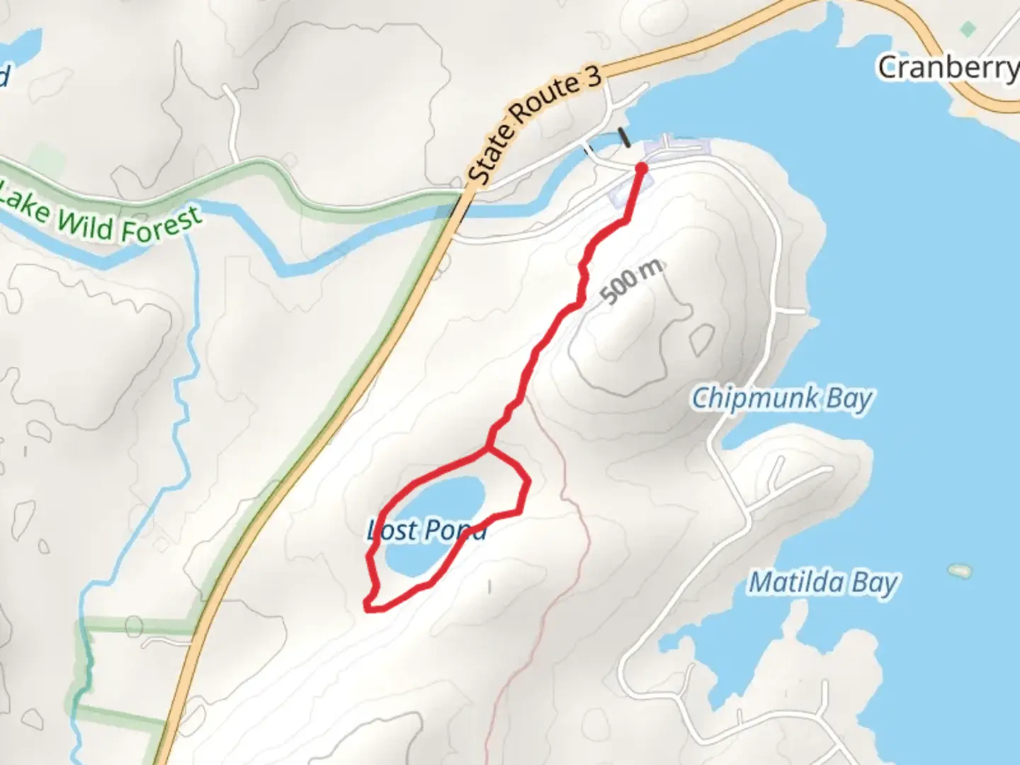 An image depicting the trail Lost Pond Loop and its surrounding area.