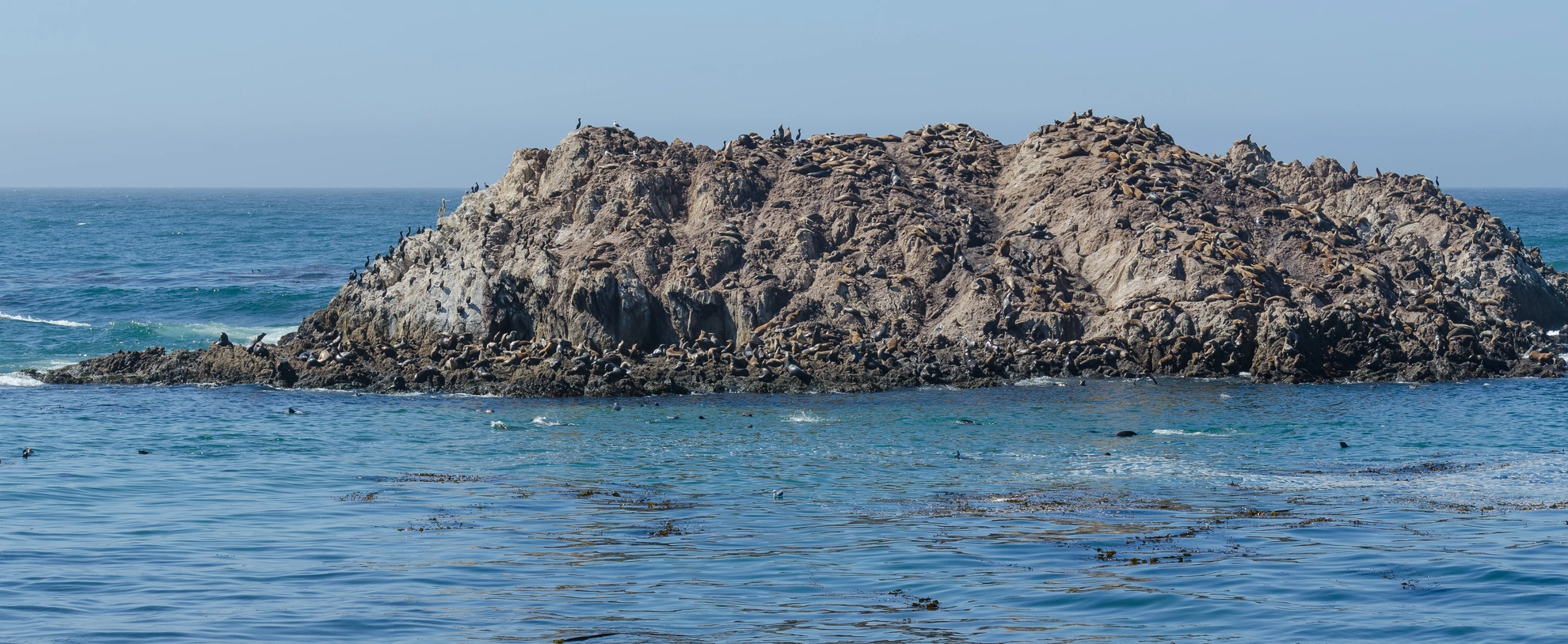 An image depicting the trail Bird Rock Road and its surrounding area.