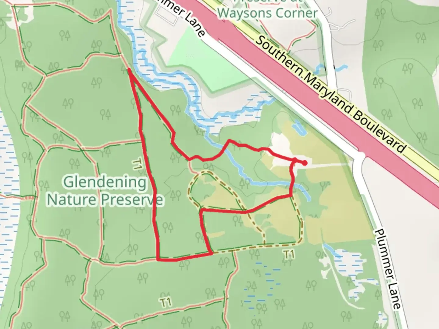 An image depicting the trail Beaver-Rock Trail and Blueberry Loop Trail and its surrounding area.