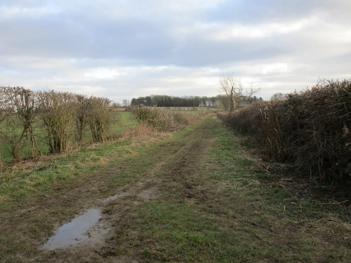 Hooton Pagnell Loop