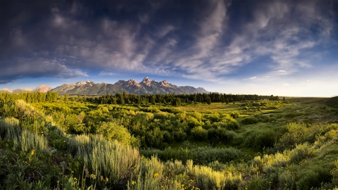 An image depicting the trail Blacktail Deer Creek Trail and its surrounding area.
