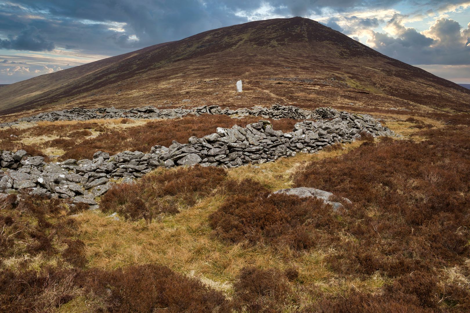 An image depicting the trail Ballyhoura - Greenwood Loop and its surrounding area.