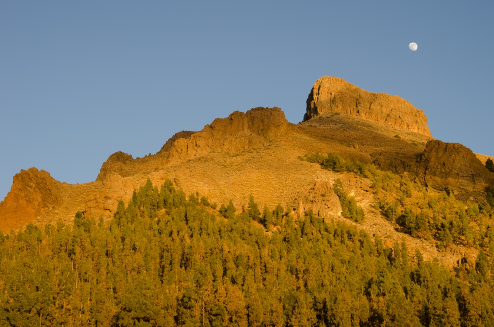An image depicting the trail San Miguel 3 - Monte Cho Pancho Trail - El Roque and its surrounding area.