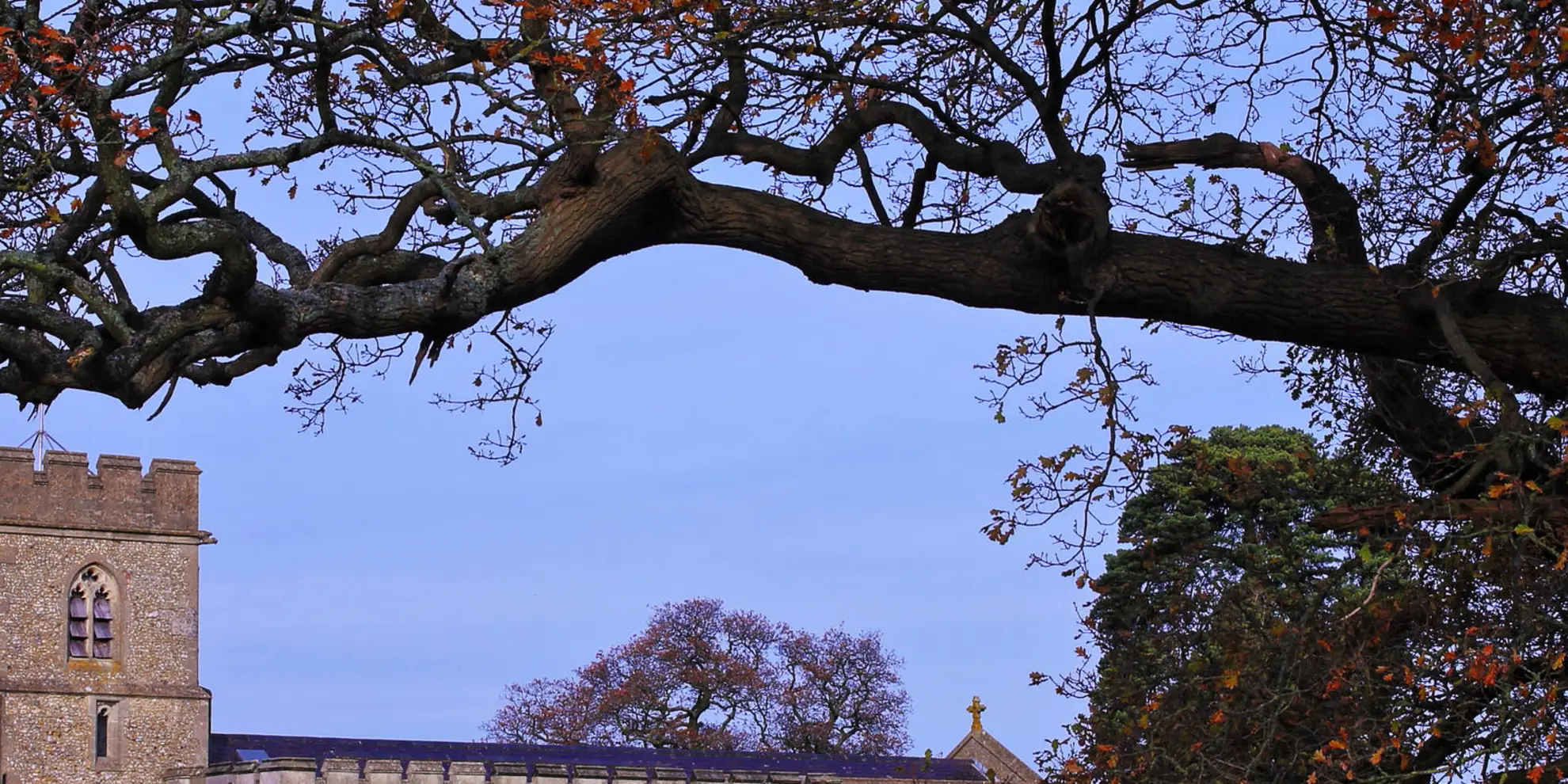 An image depicting the trail Ashridge Boundary Trail and its surrounding area.