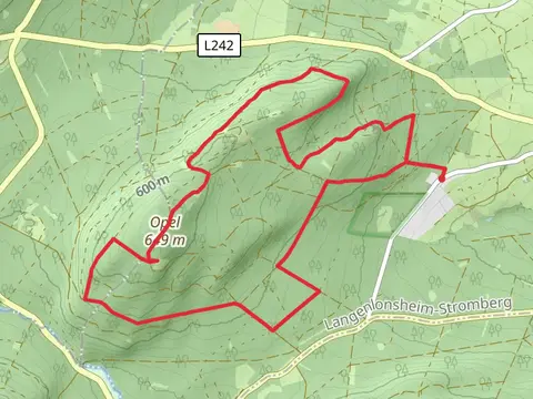 Opel Gipfelpfad and Lehnbach Loop