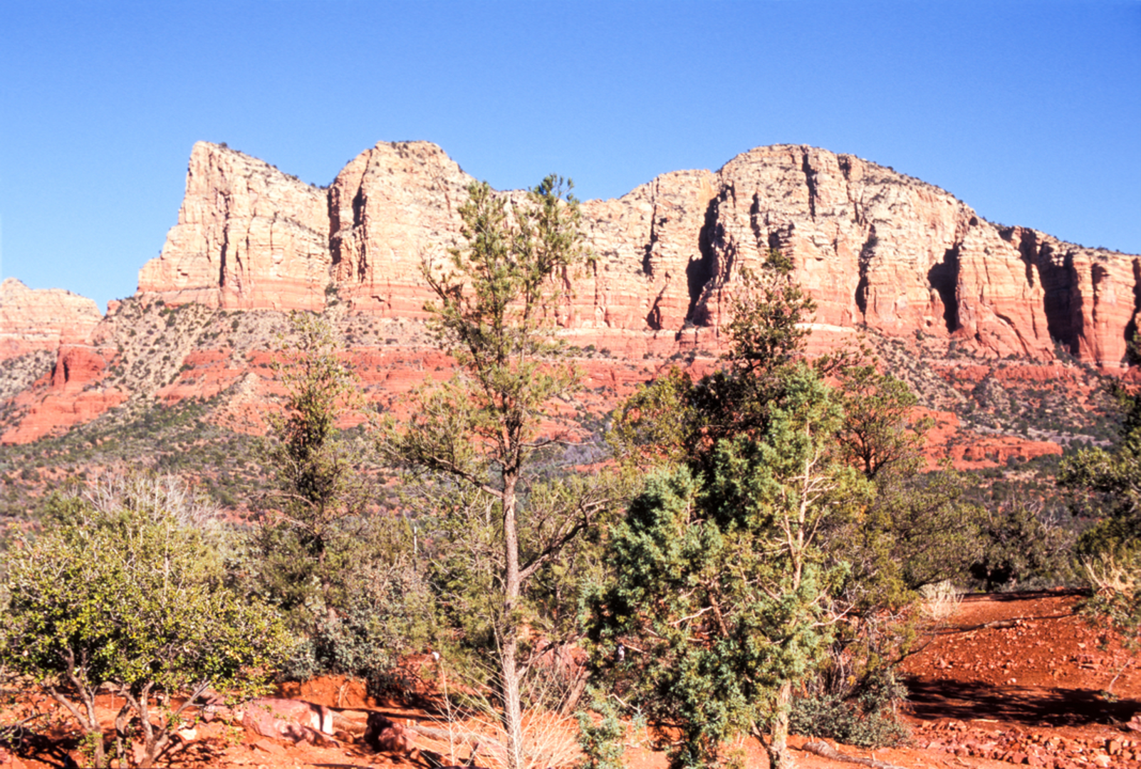 An image depicting the trail Chapel Trail and its surrounding area.