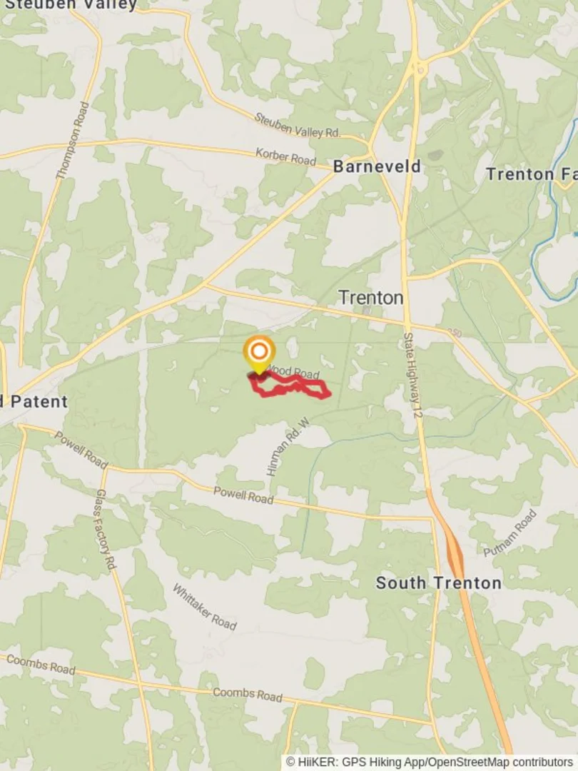 An image depicting the trail Wood Road Loop and its surrounding area.