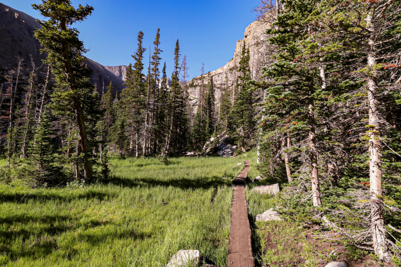 An image depicting the trail Shelf Lake via Mills and Jewel Lake Trail and its surrounding area.