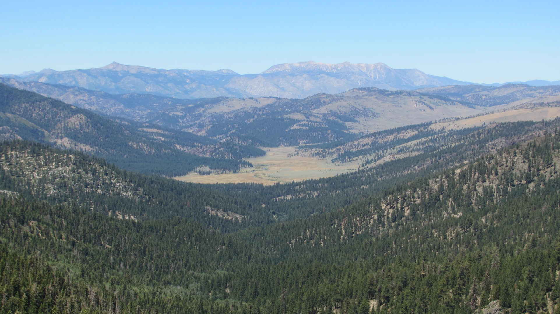 An image depicting the trail Tamarack Lake Trail and its surrounding area.