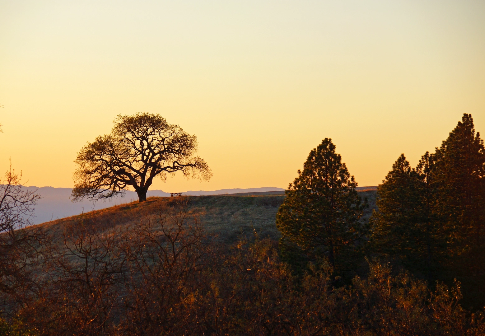 An image depicting the trail North Fork, Pacheco Falls and Hersman Pond Loop Trail and its surrounding area.