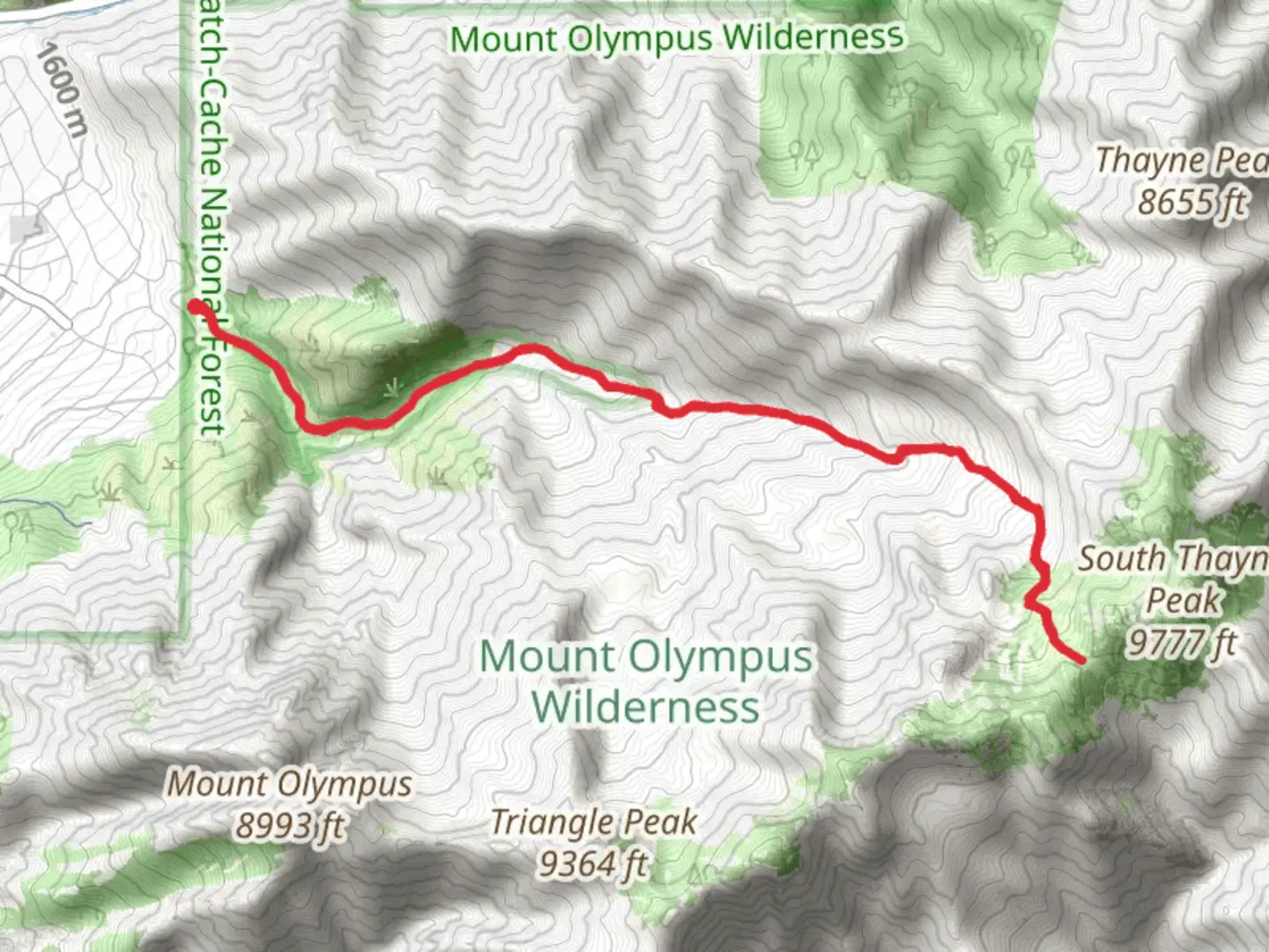 An image depicting the trail Wildcat Ridge and Neff Springs via Neffs Canyon Trail and its surrounding area.