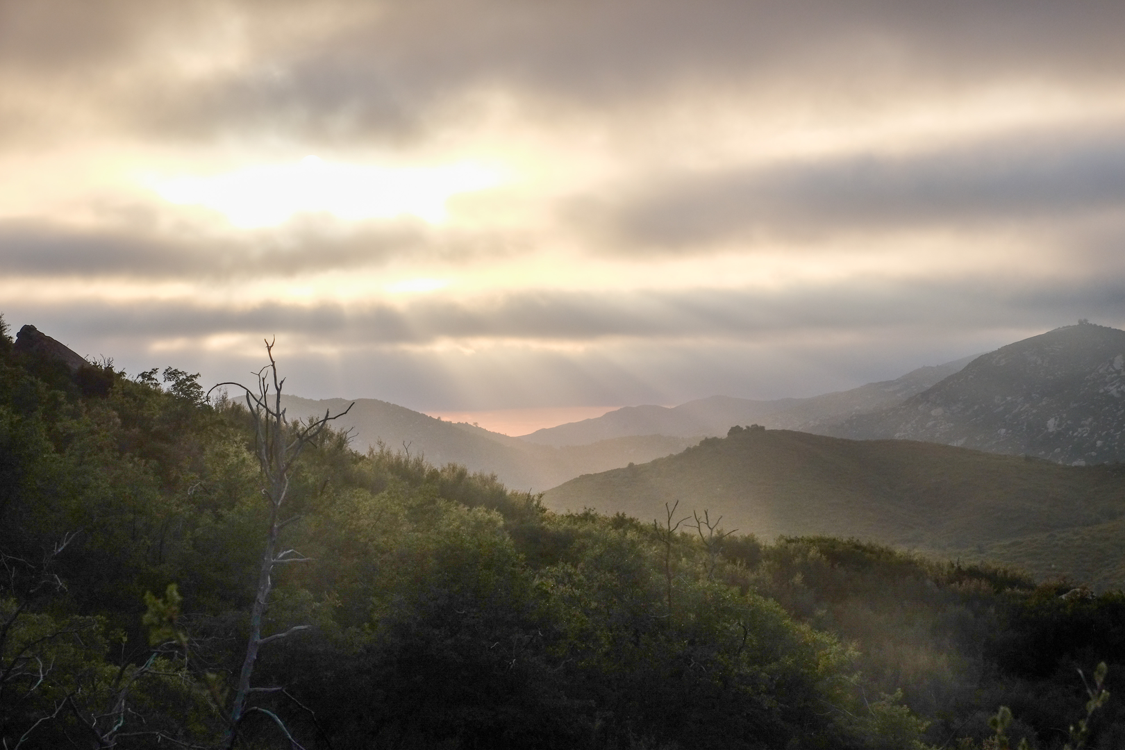 An image depicting the trail East Side, Harvey Moore and oakzanita Peak Loop Trail and its surrounding area.
