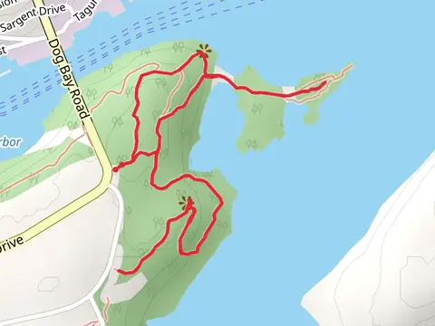 Dog Bay Loop
