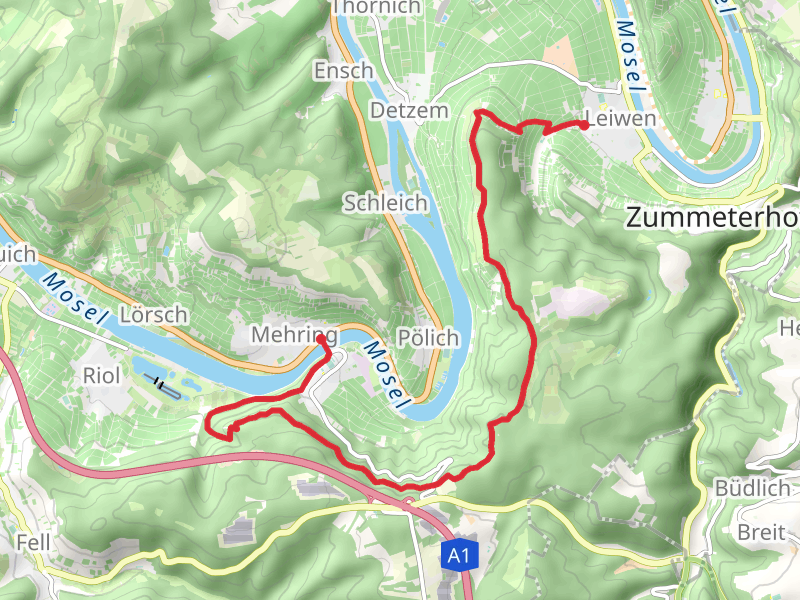 Mehring to Leiwen Walk