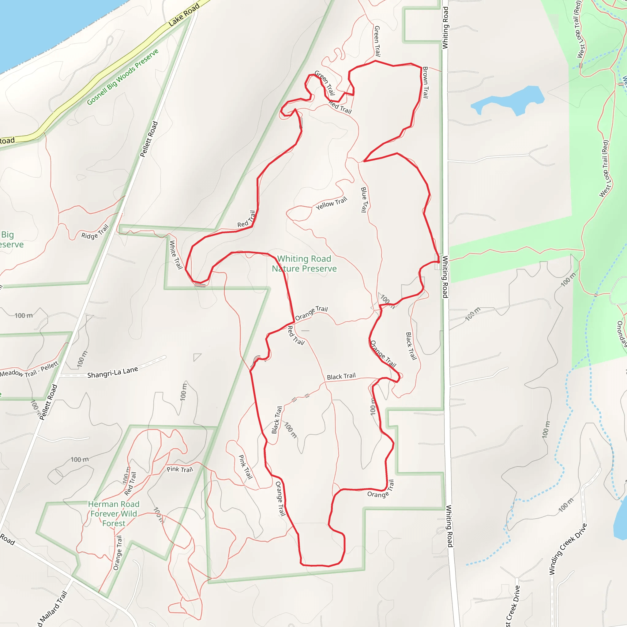 Orange Trail via Whiting Road Loop mobile static map