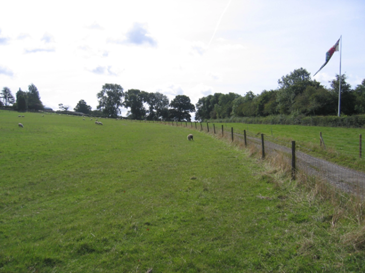 An image depicting the trail Shenton and Dadlington Loop and its surrounding area.