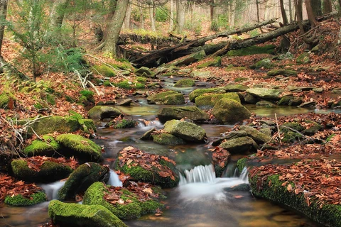 Chuck Keiper Trail Loop