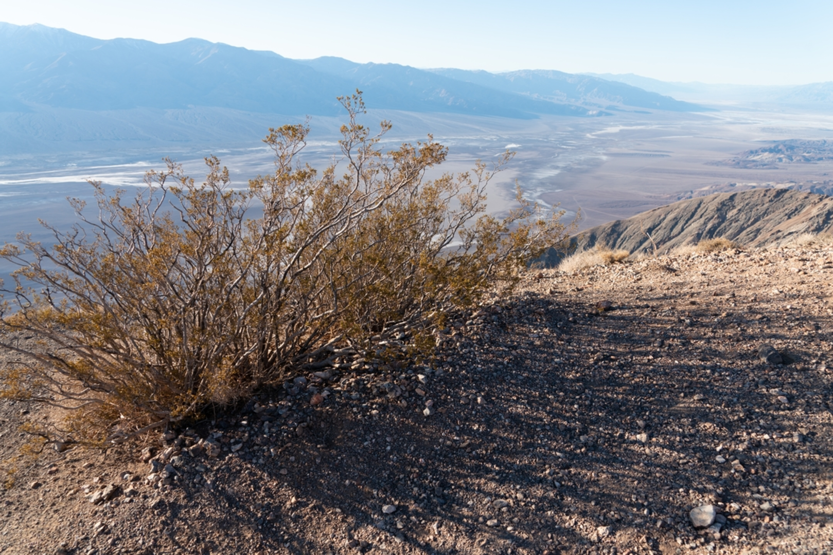 An image depicting the trail Dante's View Trail and its surrounding area.