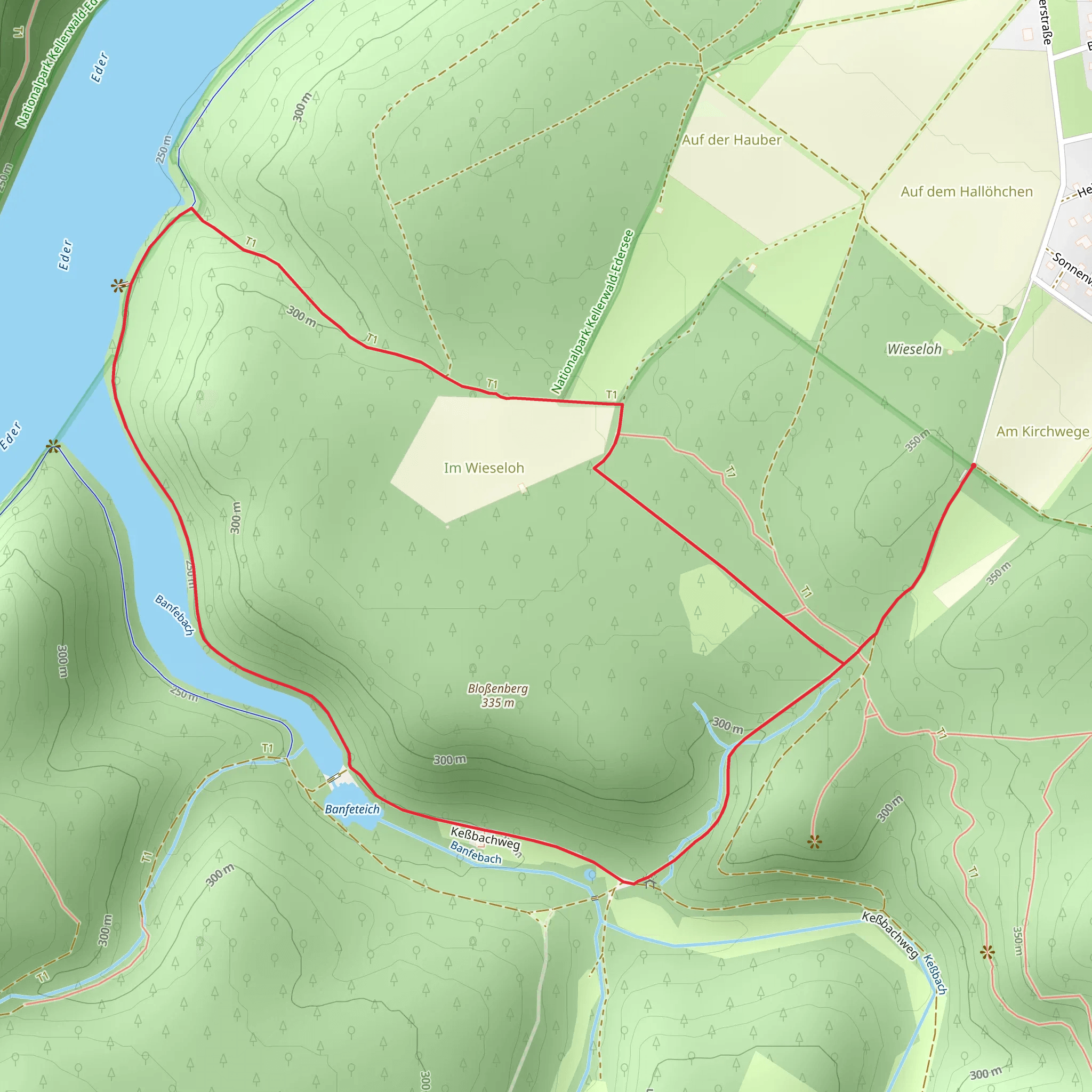 Eder via Nationalparkrundweg and Urwaldsteig Edersee mobile static map