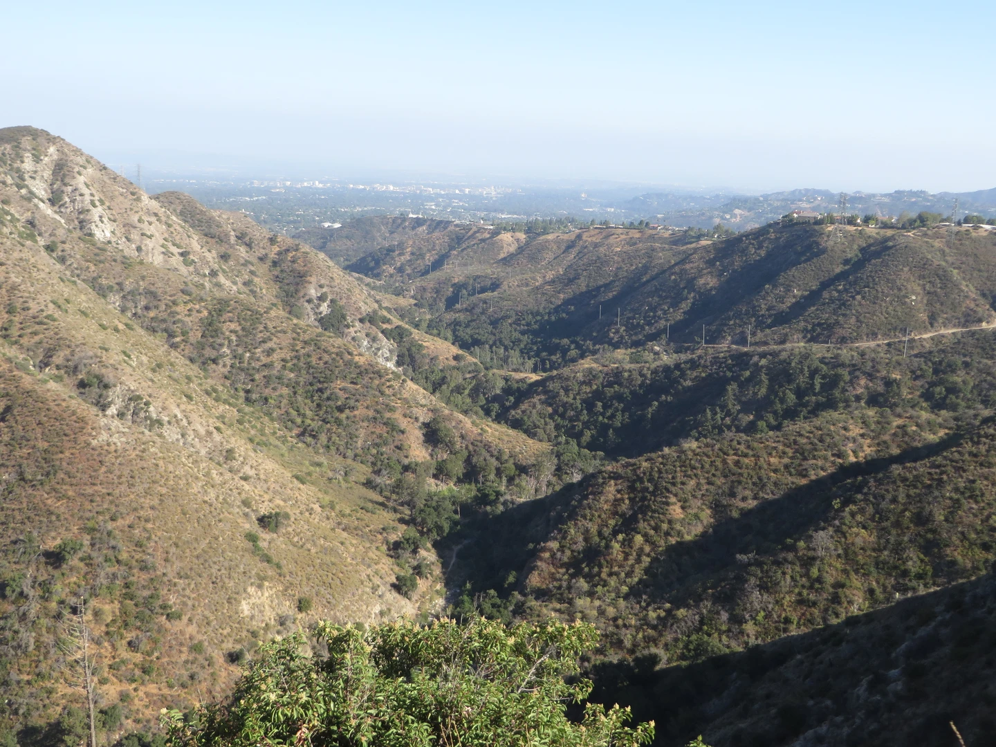 An image depicting the trail Gabrielino Trail from Angeles Crest Highway and its surrounding area.