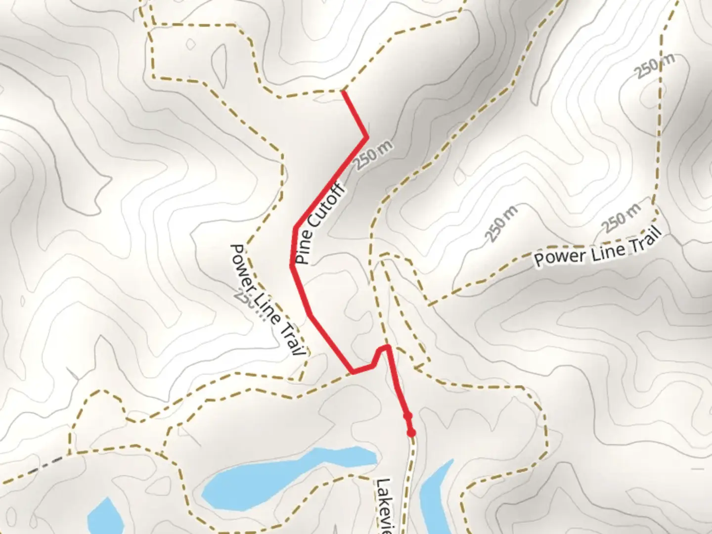 An image depicting the trail Pine Cutoff Trail and its surrounding area.