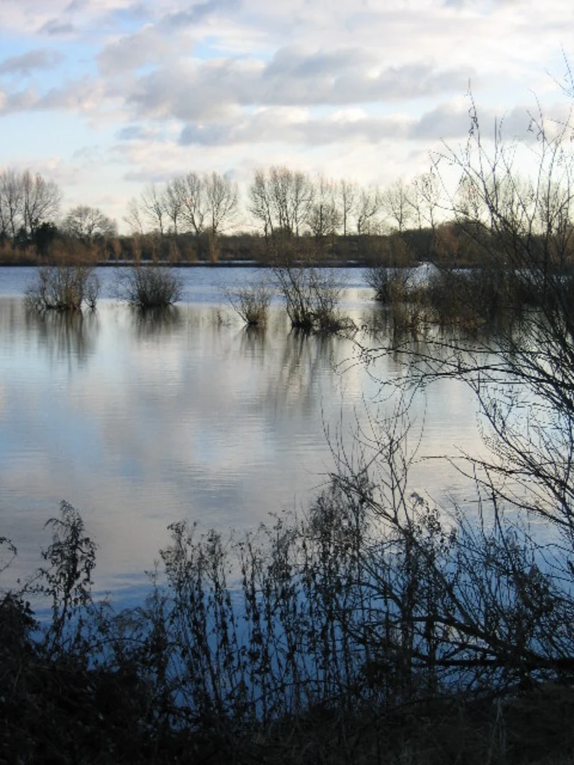An image depicting the trail Swillbrook Lakes Nature Reserve Loop and its surrounding area.