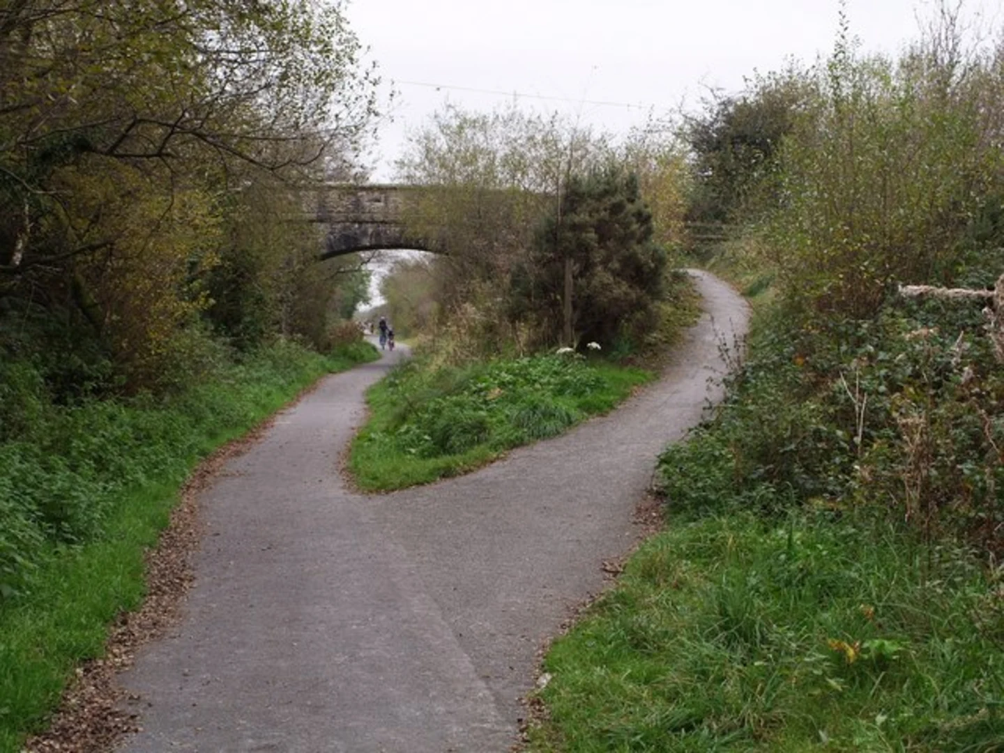 An image depicting the trail Natural Wood and Meldon Wood Walk and its surrounding area.