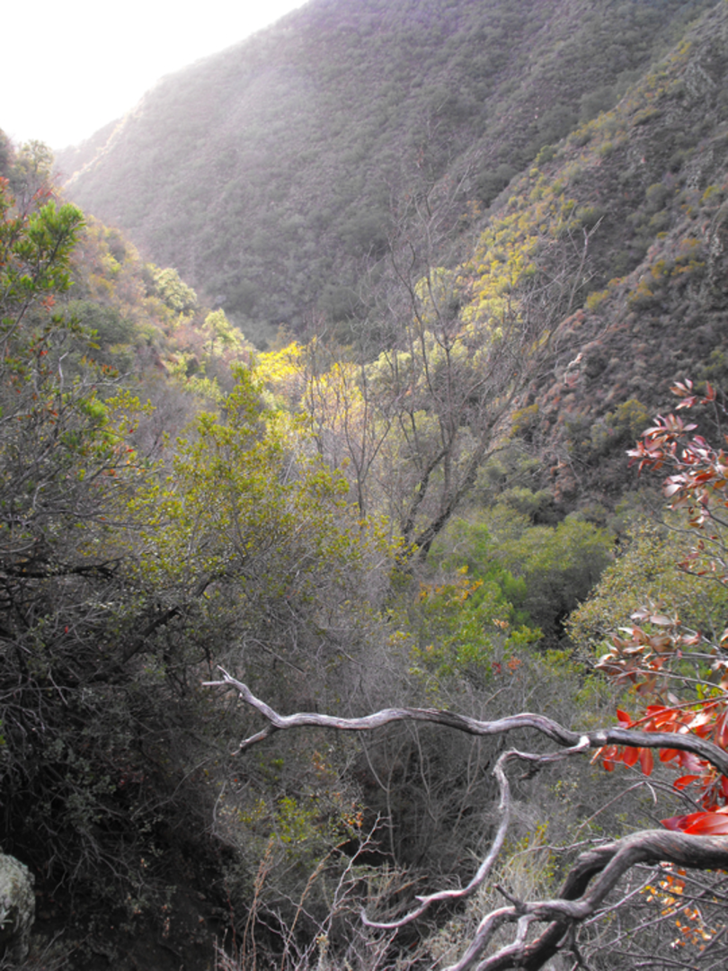 An image depicting the trail Holy Jim Trail and its surrounding area.