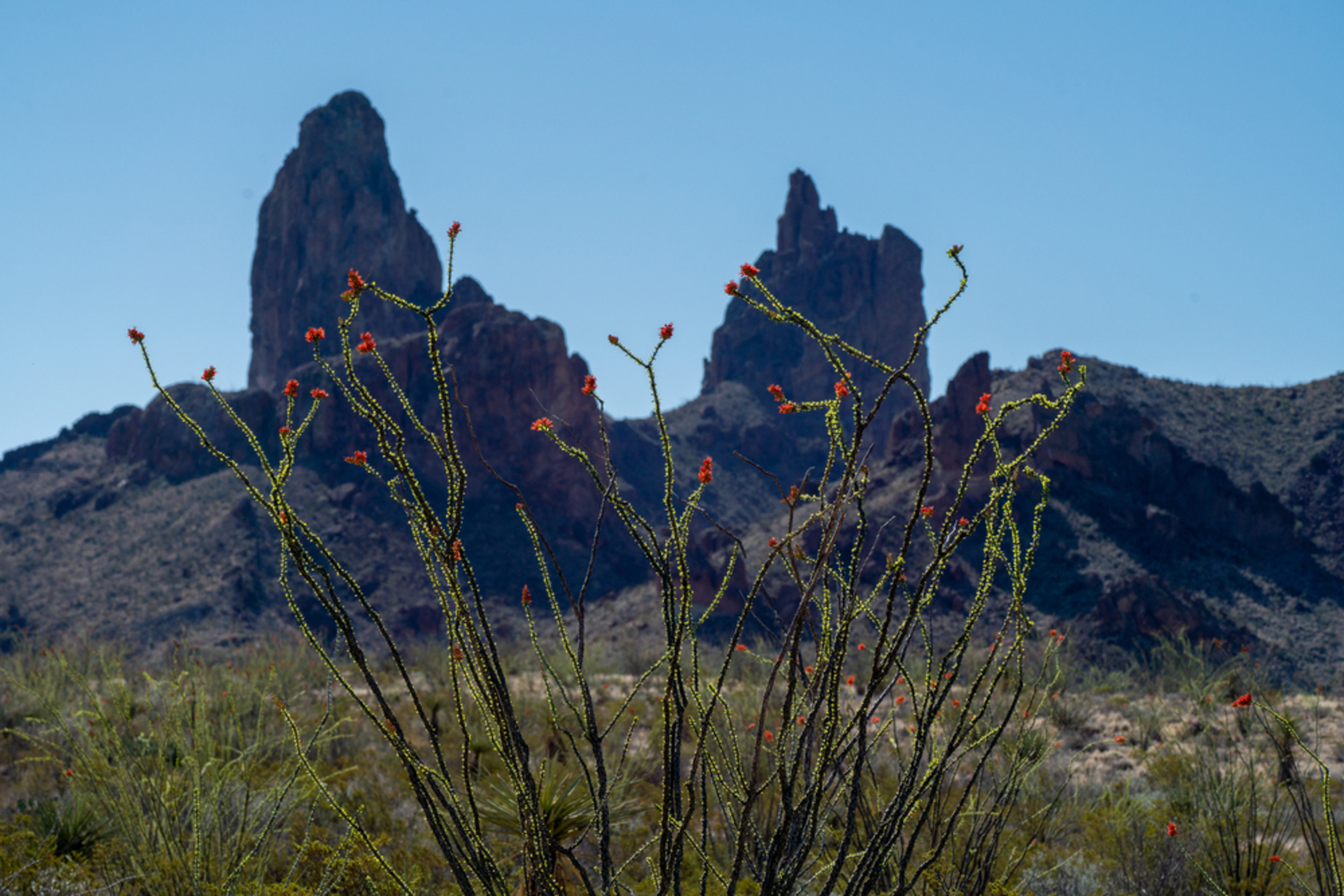 An image depicting the trail Mule Ears Spring Trail and its surrounding area.