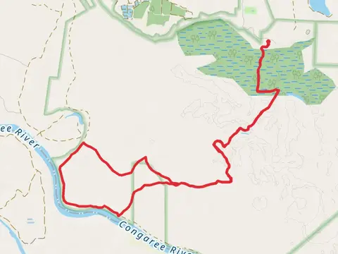 Boardwalk - Congaree River Loop Trail