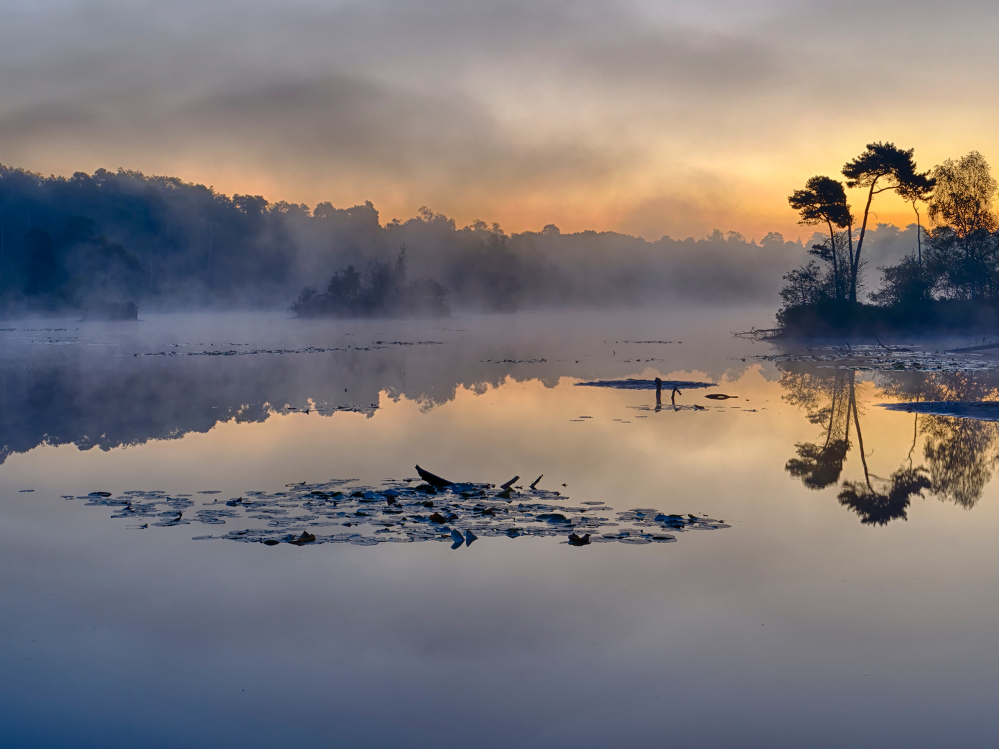 An image depicting the trail Voorste Goorven, Witven and Laminervennen Loop and its surrounding area.