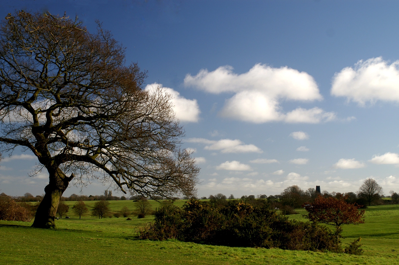 An image depicting the trail Hutton 20 Miles Walk from Driffield and its surrounding area.