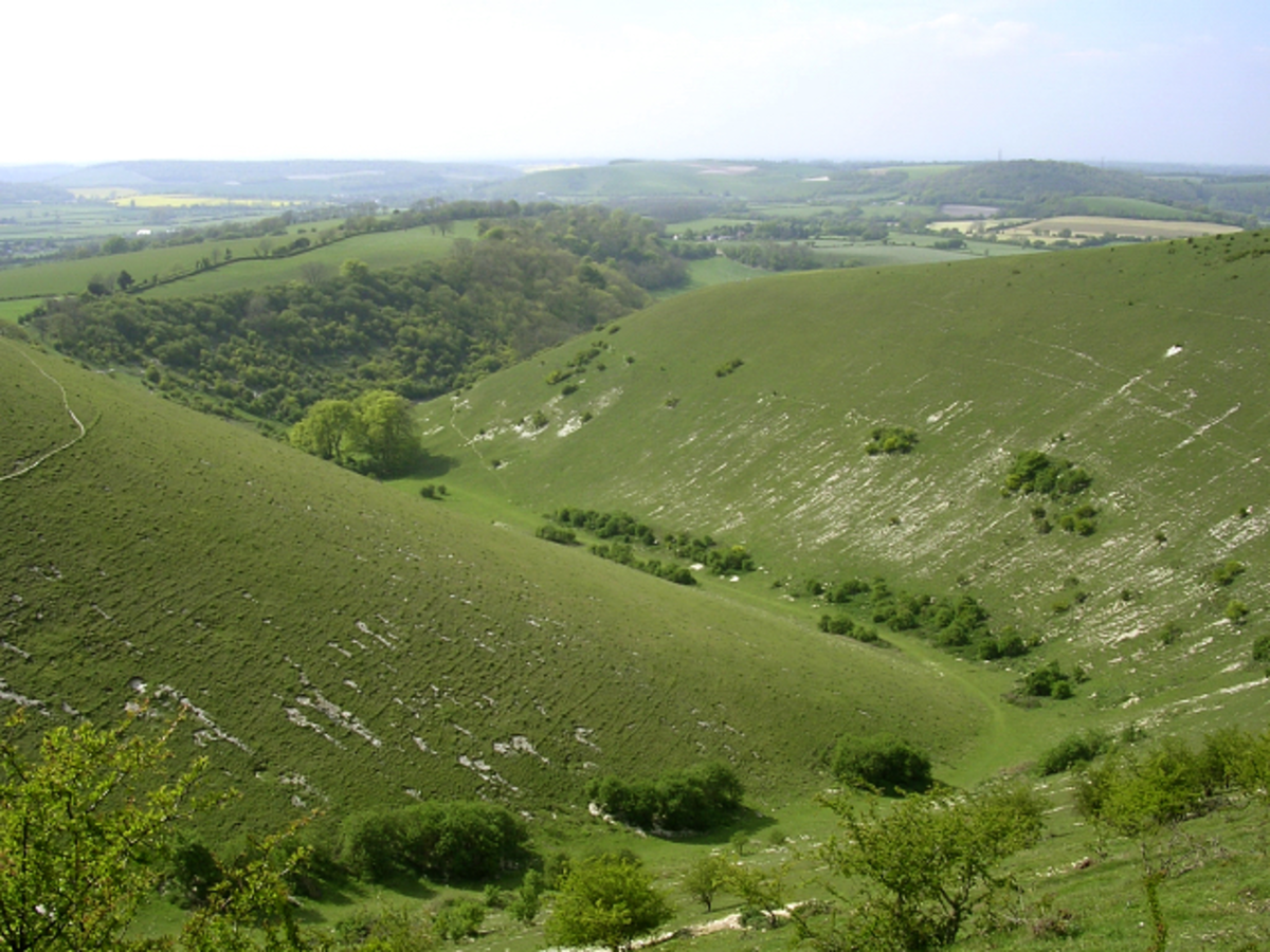 Rake Bottom and Cross Dykes