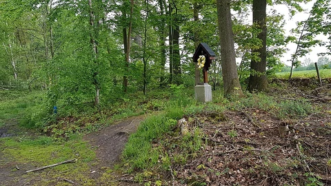 Onderste Bosch and Bosreservaat Teuvenerberg via Haenenbergpad